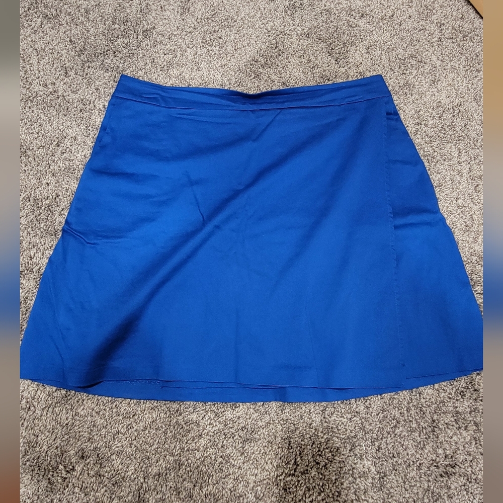Susan Graver Blue Mini Skirt